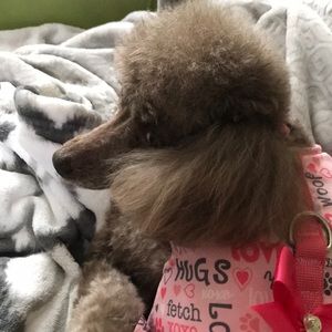 Meet your Posher, Sharon